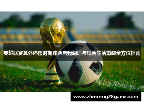 英超联赛意外停摆时期球迷自我调适与观赛生活重建全方位指南