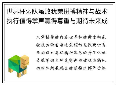 世界杯弱队虽败犹荣拼搏精神与战术执行值得掌声赢得尊重与期待未来成长