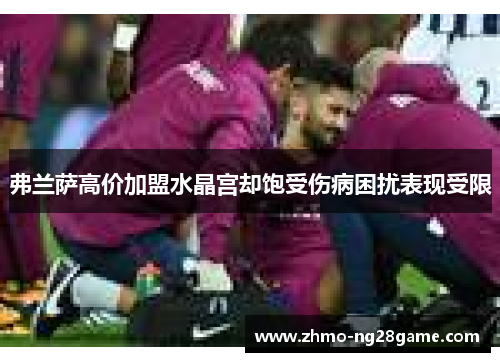弗兰萨高价加盟水晶宫却饱受伤病困扰表现受限 弗兰萨高价加盟水晶宫却饱受伤病困扰表现受限