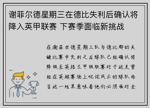 谢菲尔德星期三在德比失利后确认将降入英甲联赛 下赛季面临新挑战